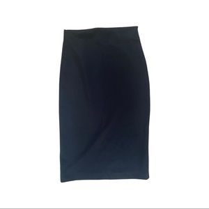 Zara Pencil Skirt w/ Exposed Zipper